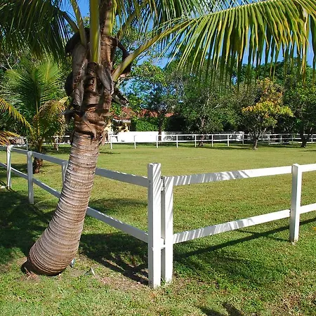 La Finca-2
