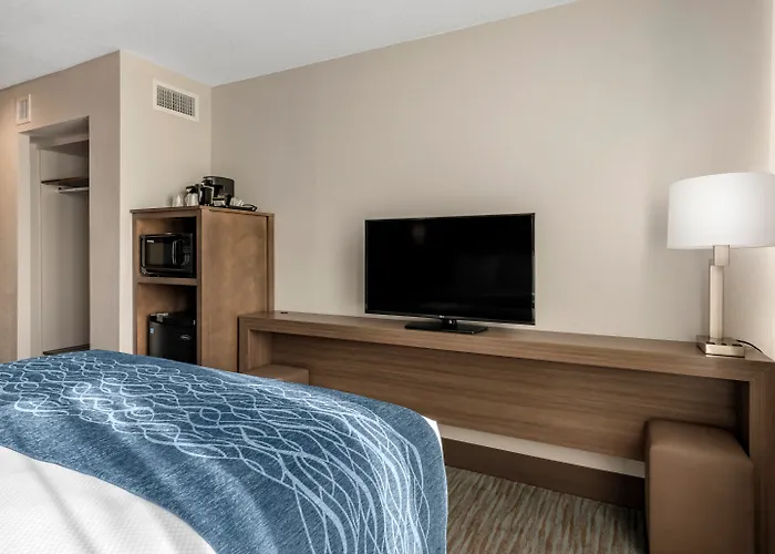 Comfort Inn & Suites Downtown Brickell-Port Of