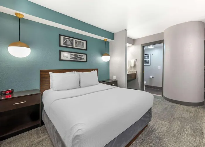 Dog friendly hotels Sleep Miami Airport