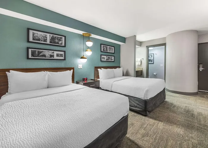 Dog friendly hotels Sleep Miami Airport