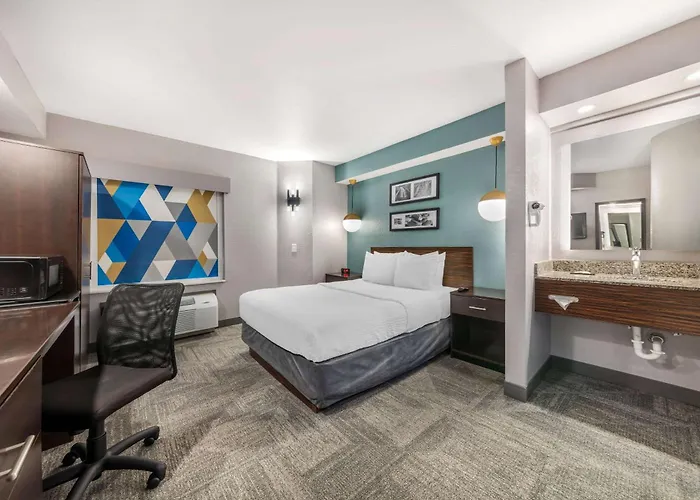 Dog friendly hotels Sleep Miami Airport